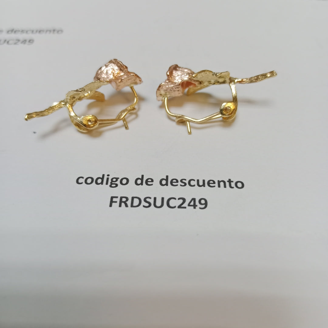 ARETES PAR ORO 10 K 4.9 GRMS (SEMINUEVO)