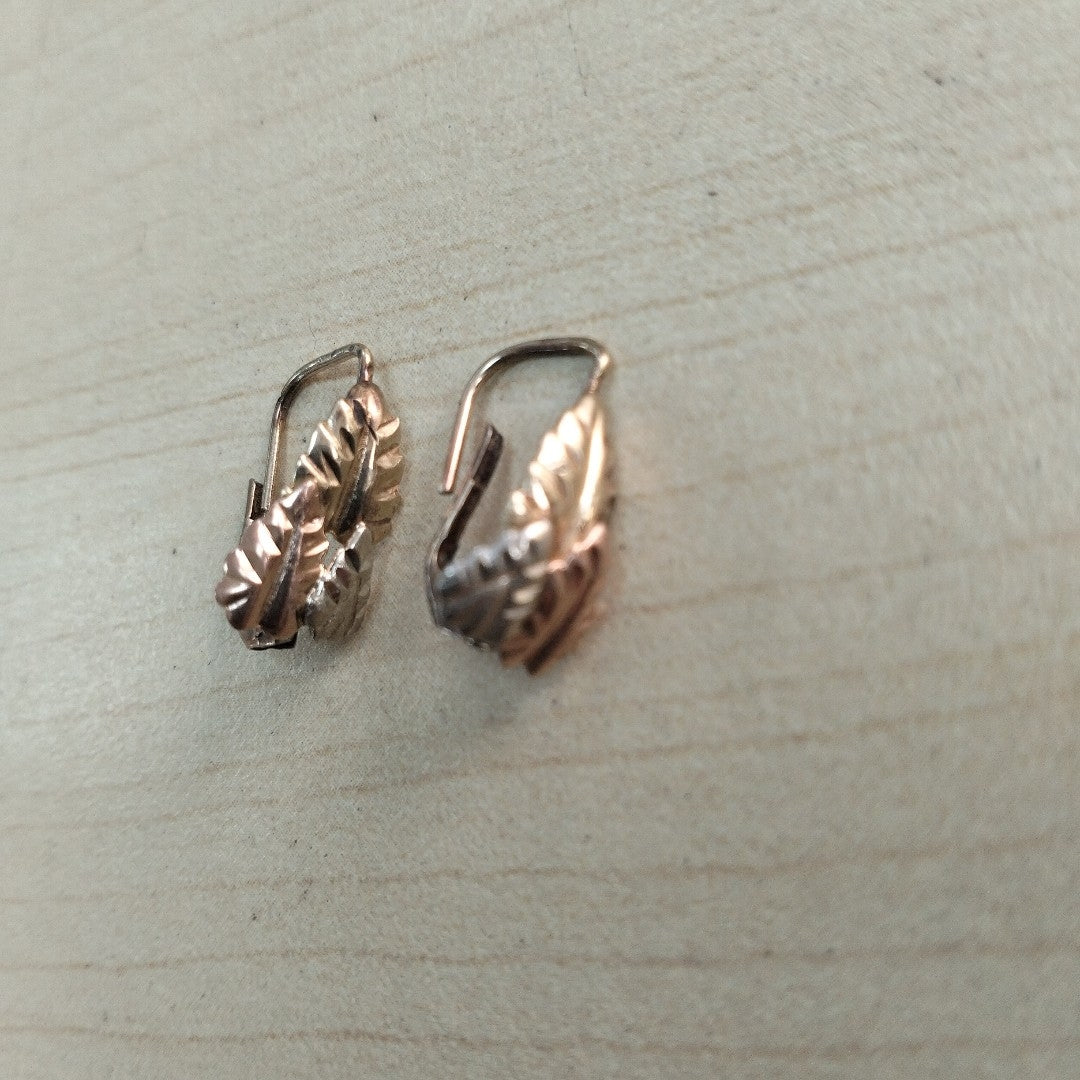 ARETES PAR ORO 10 K 0.8 GRMS (SEMINUEVO)