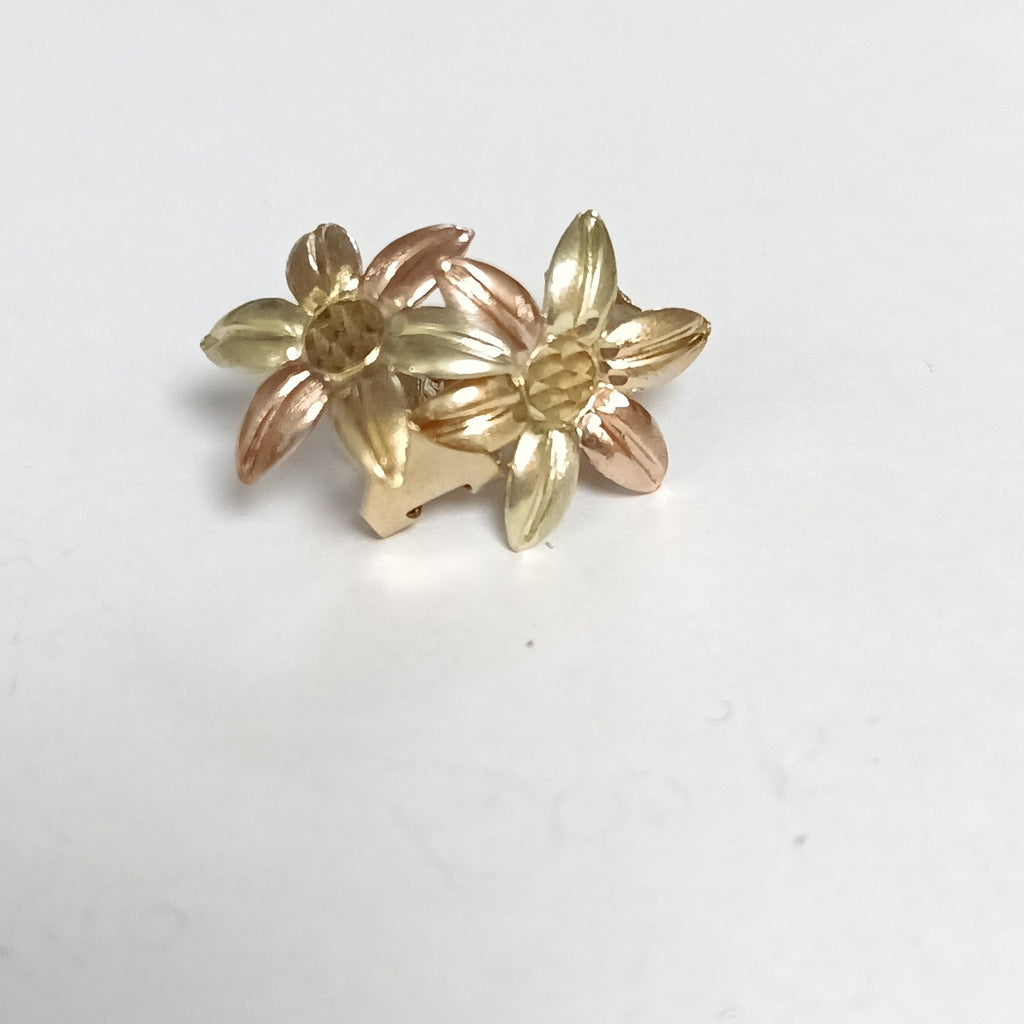 ARETES PAR ORO 10 K 2.7 GRMS (SEMINUEVO)
