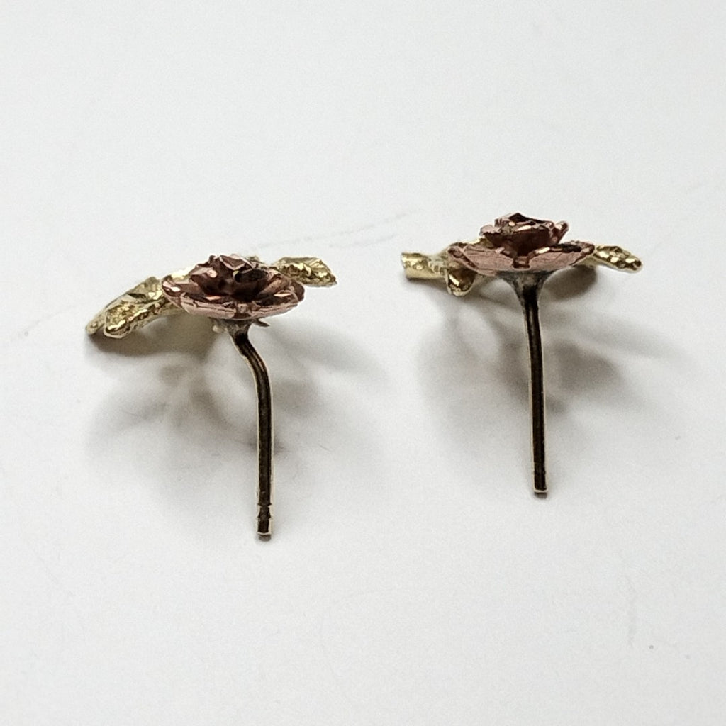 ARETES PAR ORO 10 K 2 GRMS (SEMINUEVO)