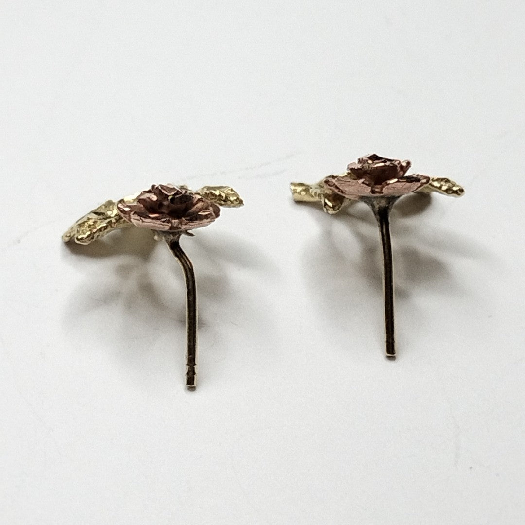 ARETES PAR ORO 10 K 2 GRMS (SEMINUEVO)