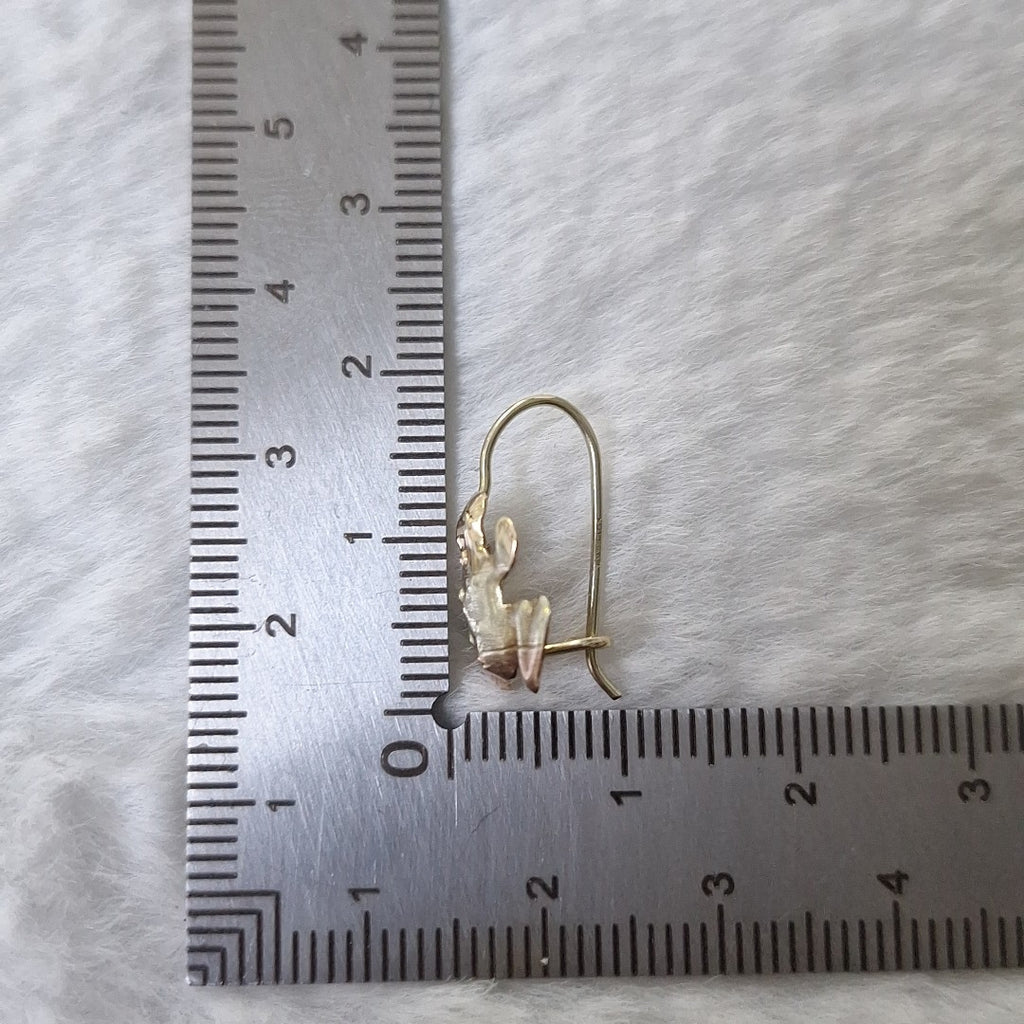 ARETES PAR ORO 10 K 1 GRMS (SEMINUEVO)