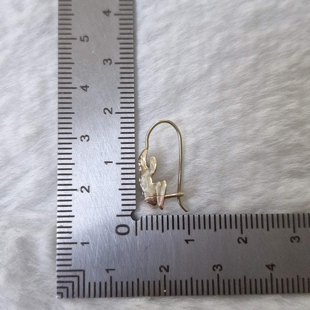 ARETES PAR ORO 10 K 1 GRMS (SEMINUEVO)