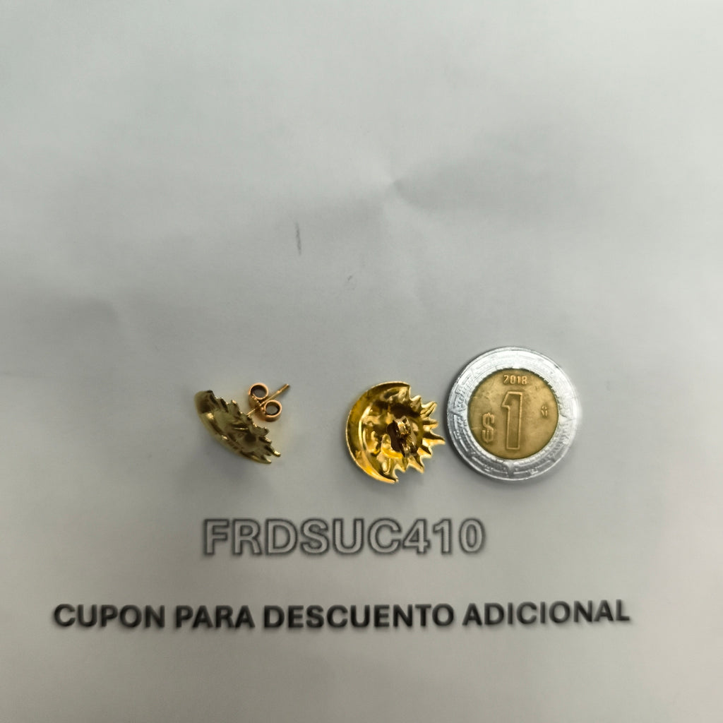 BROQUELES PAR ORO 10 K 1,40 GRMS (SEMINUEVO)