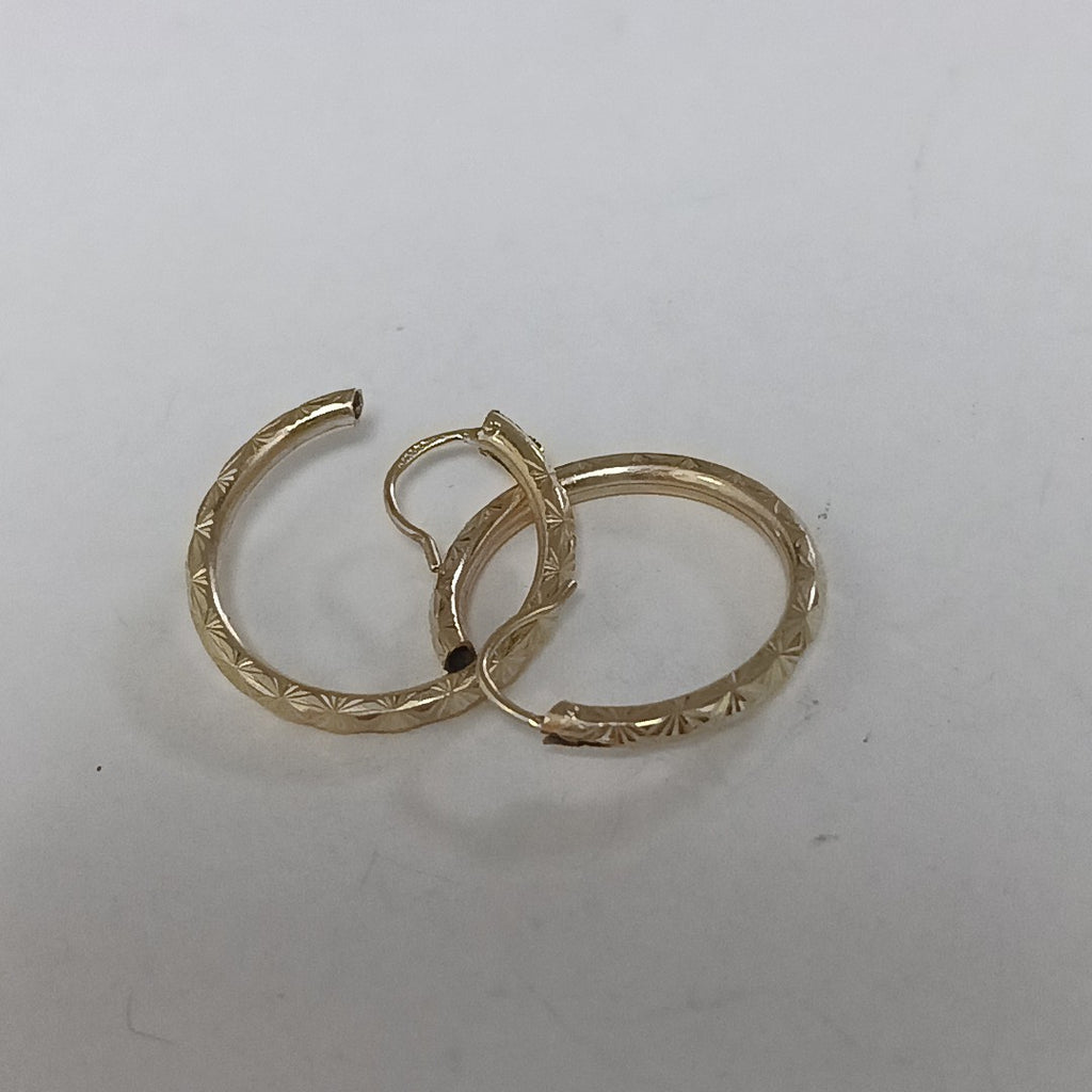 ARRACADAS PAR ORO 10 K 2.3 GRMS (SEMINUEVO)