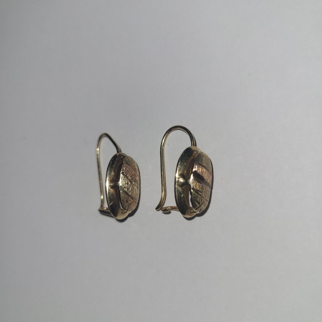 ARETES PAR ORO 10 K 1,70 GRMS (SEMINUEVO)