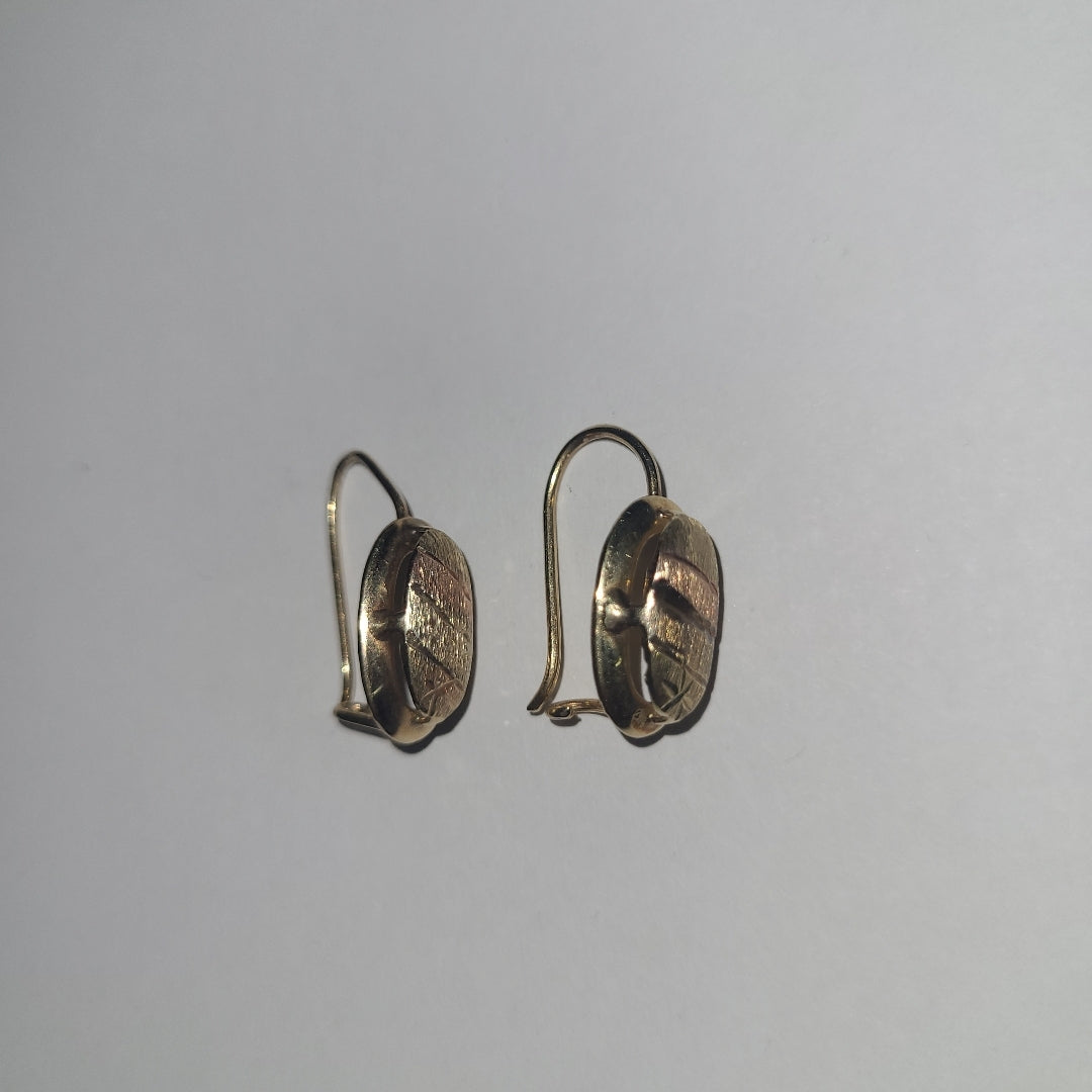 ARETES PAR ORO 10 K 1,70 GRMS (SEMINUEVO)