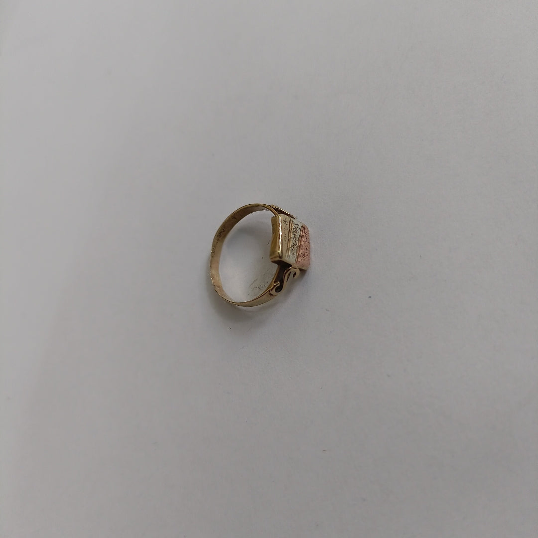 ANILLO ORO 10 K 1.3 GRMS (SEMINUEVO)