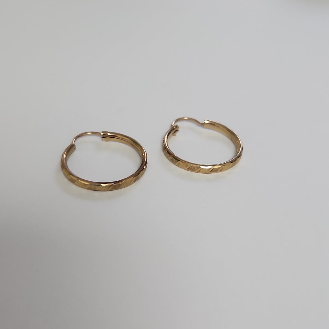 ARETES PAR ORO 10 K 1.6 GRMS (SEMINUEVO)