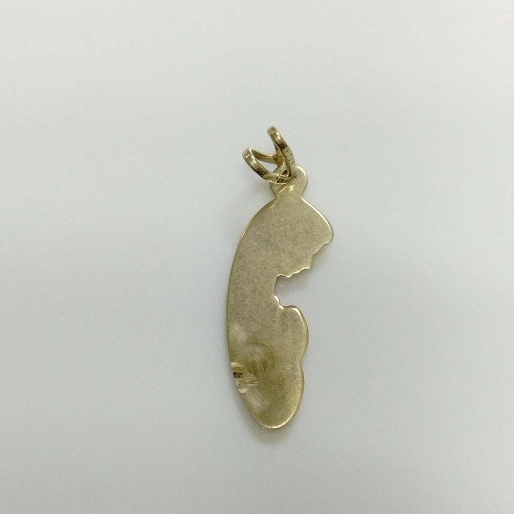 DIJE ORO 14 K 1.4 GRMS (SEMINUEVO)