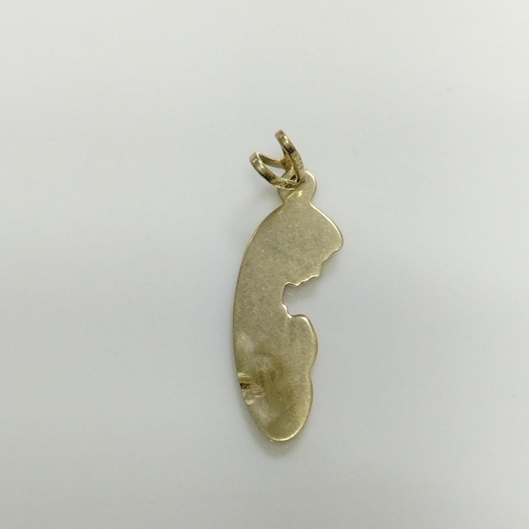 DIJE ORO 14 K 1.4 GRMS (SEMINUEVO)