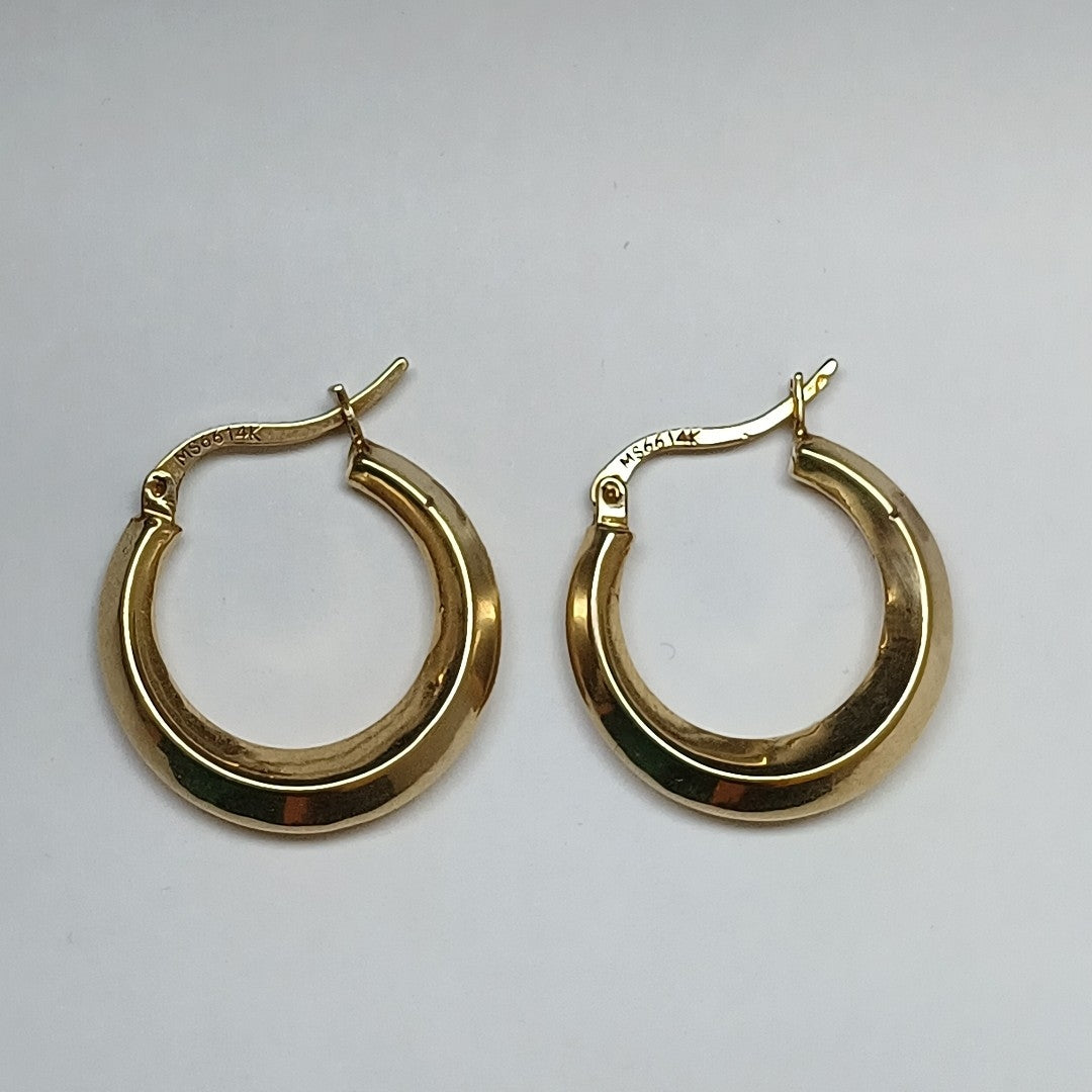 ARRACADAS PAR ORO 14 K 3,00 GRMS (SEMINUEVO)