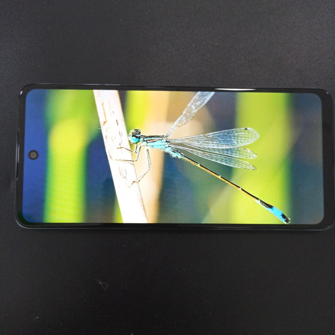 CELULAR MOTOROLA MOTO G24 POWER XT2425-1 (2024) 256 GB 8 GB RAM (SEMINUEVO)