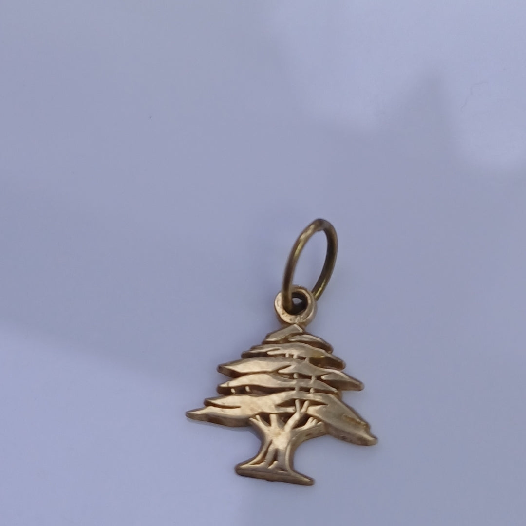 DIJE ORO 14 K 1.3 GRMS (SEMINUEVO)