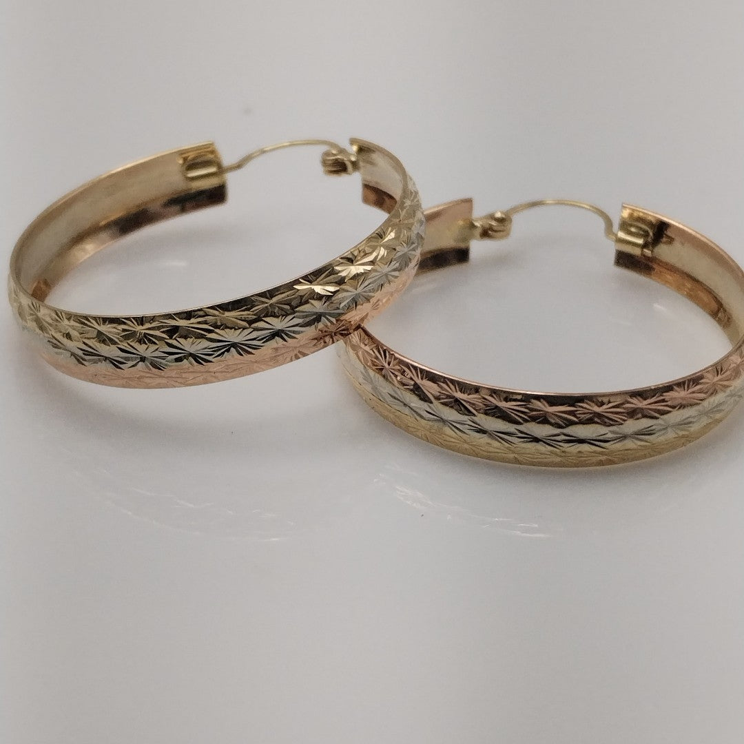 ARRACADAS PAR ORO 10 K 4.2 GRMS (SEMINUEVO)