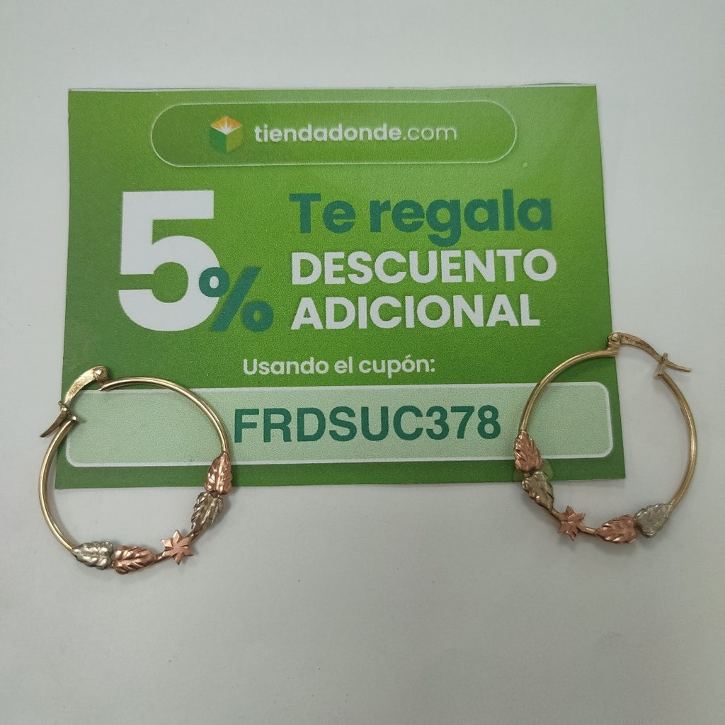 ARRACADAS PAR ORO 10 K 3.7 GRMS (SEMINUEVO)