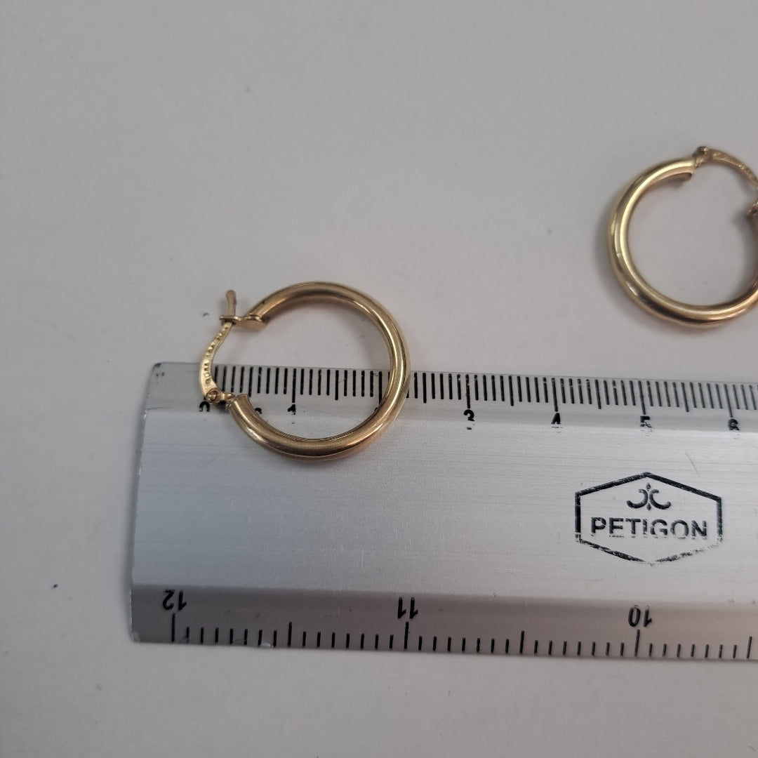 ARRACADAS PAR ORO 10 K 1,90 GRMS (SEMINUEVO)