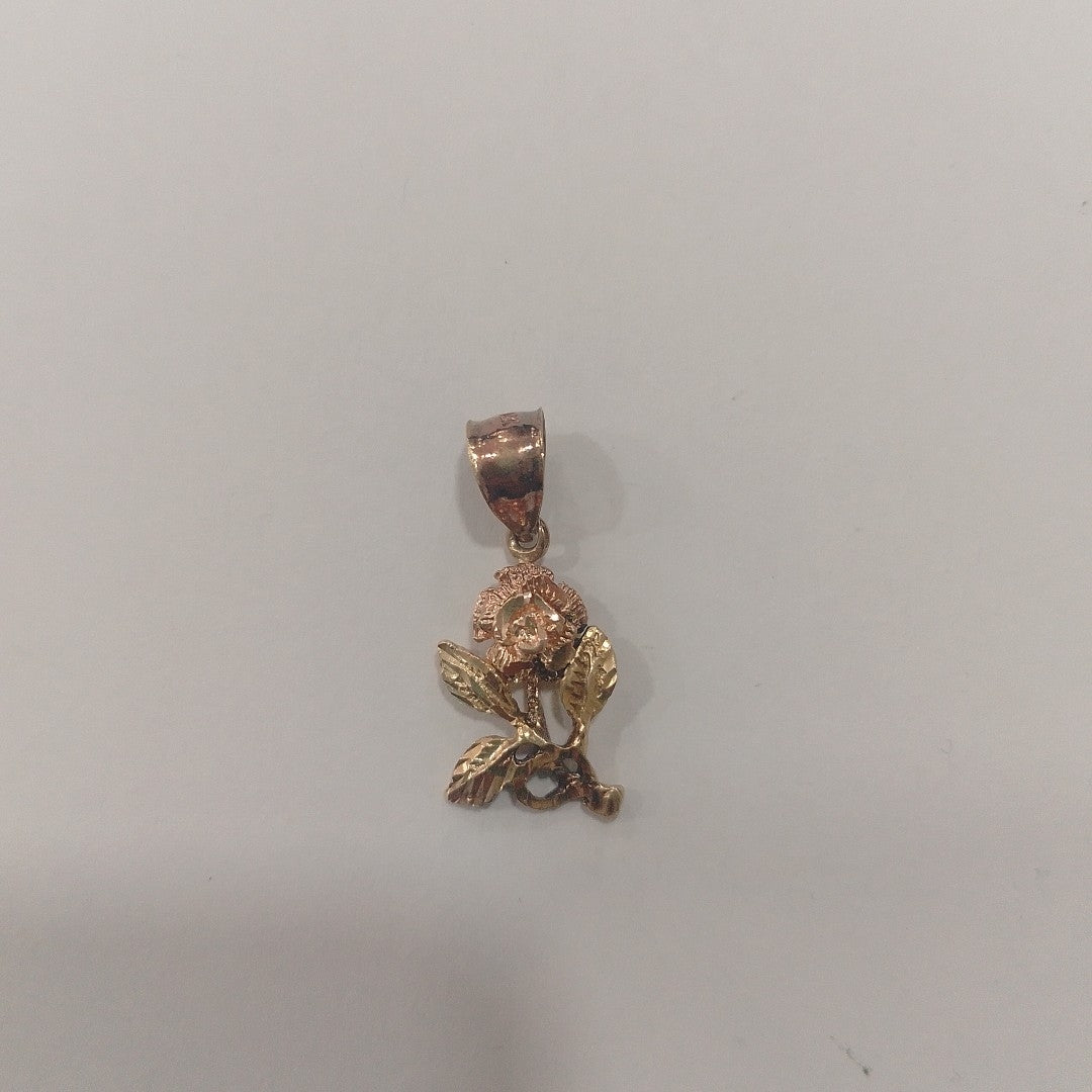 DIJE ORO 14 K 1.9 GRMS (SEMINUEVO)