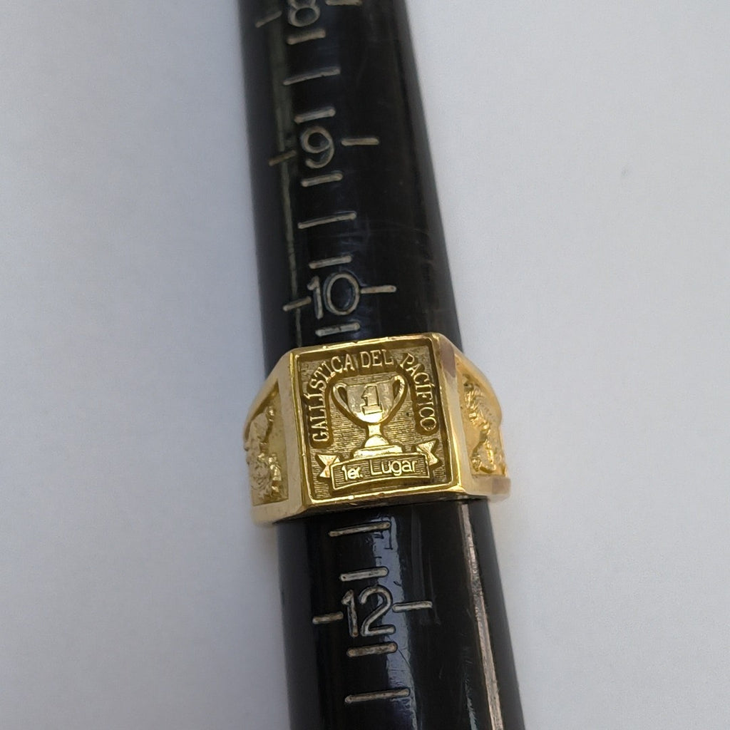 ANILLO ORO 10 K 25.8 GRMS (SEMINUEVO)
