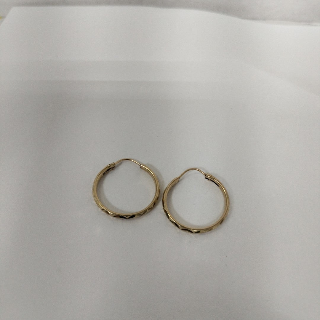 ARRACADAS PAR ORO 10 K 2 GRMS (SEMINUEVO)