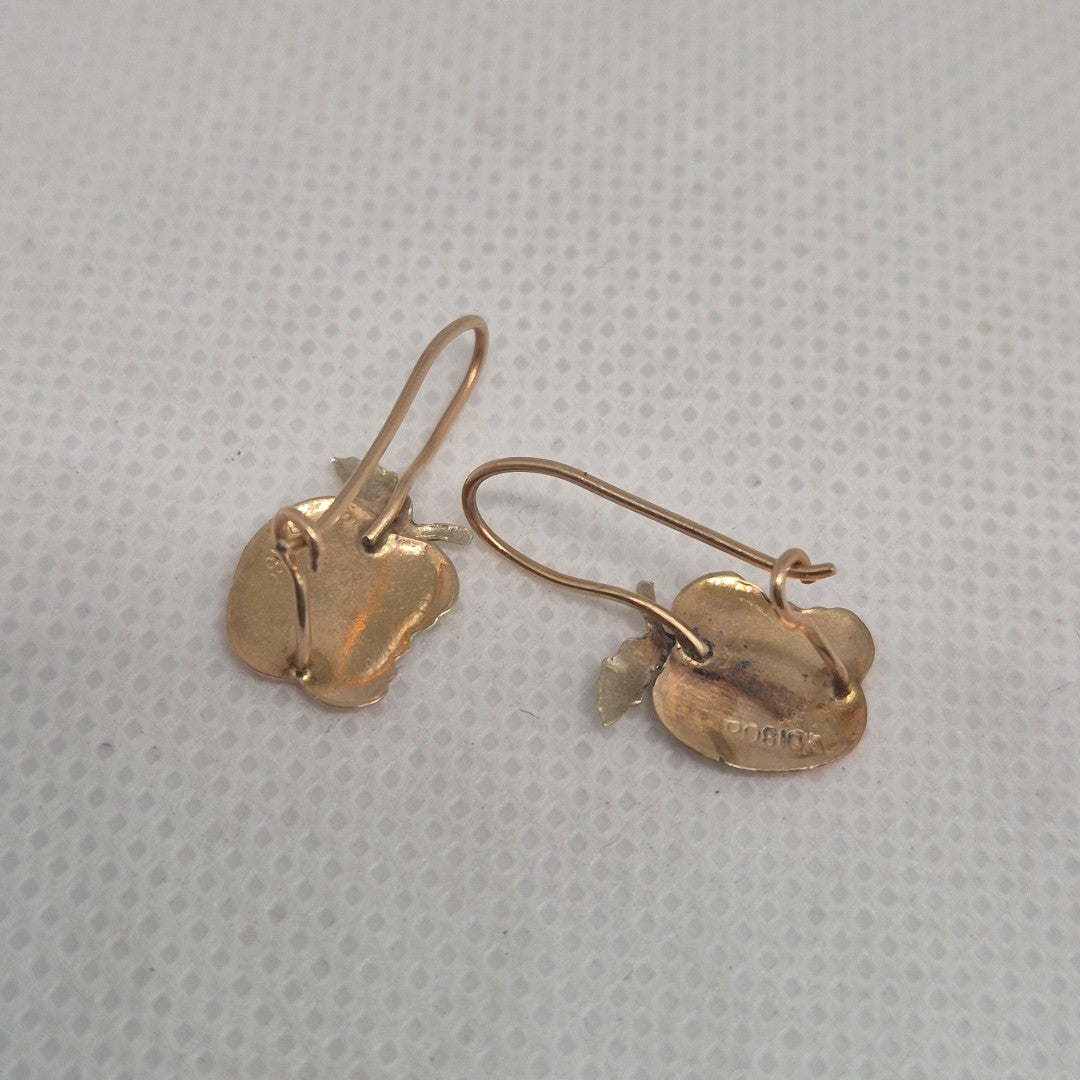 ARETES PAR ORO COMBINADO 10 K 1 GRMS (SEMINUEVO)