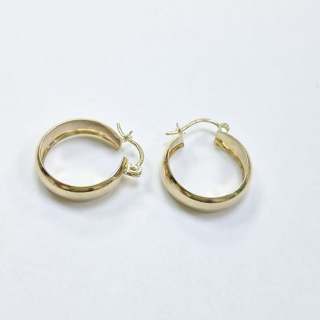ARETES ARRACADAS ORO 10K 2.3 GR (NUEVO)