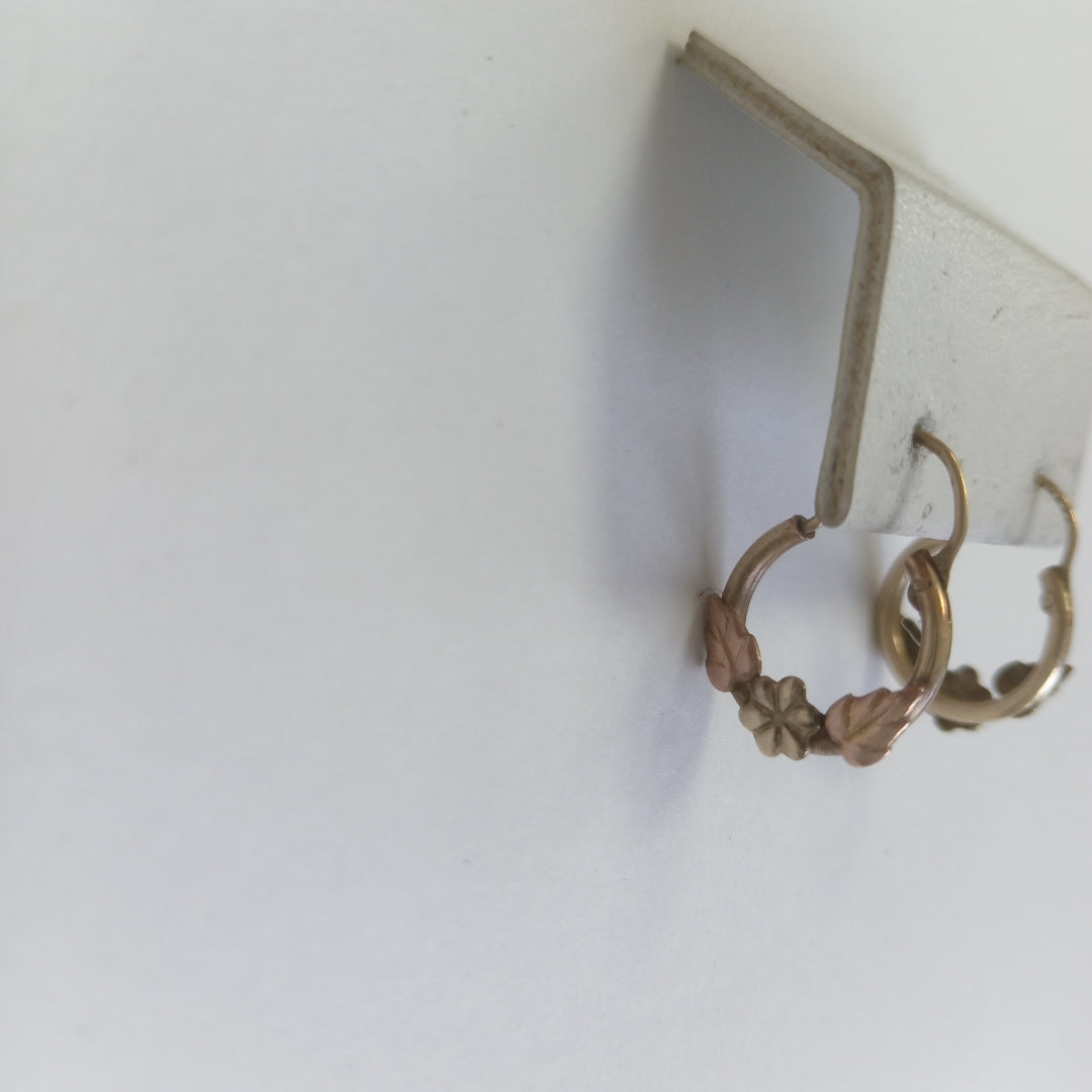 ARETES PAR ORO 10 K 1.3 GRMS (SEMINUEVO)