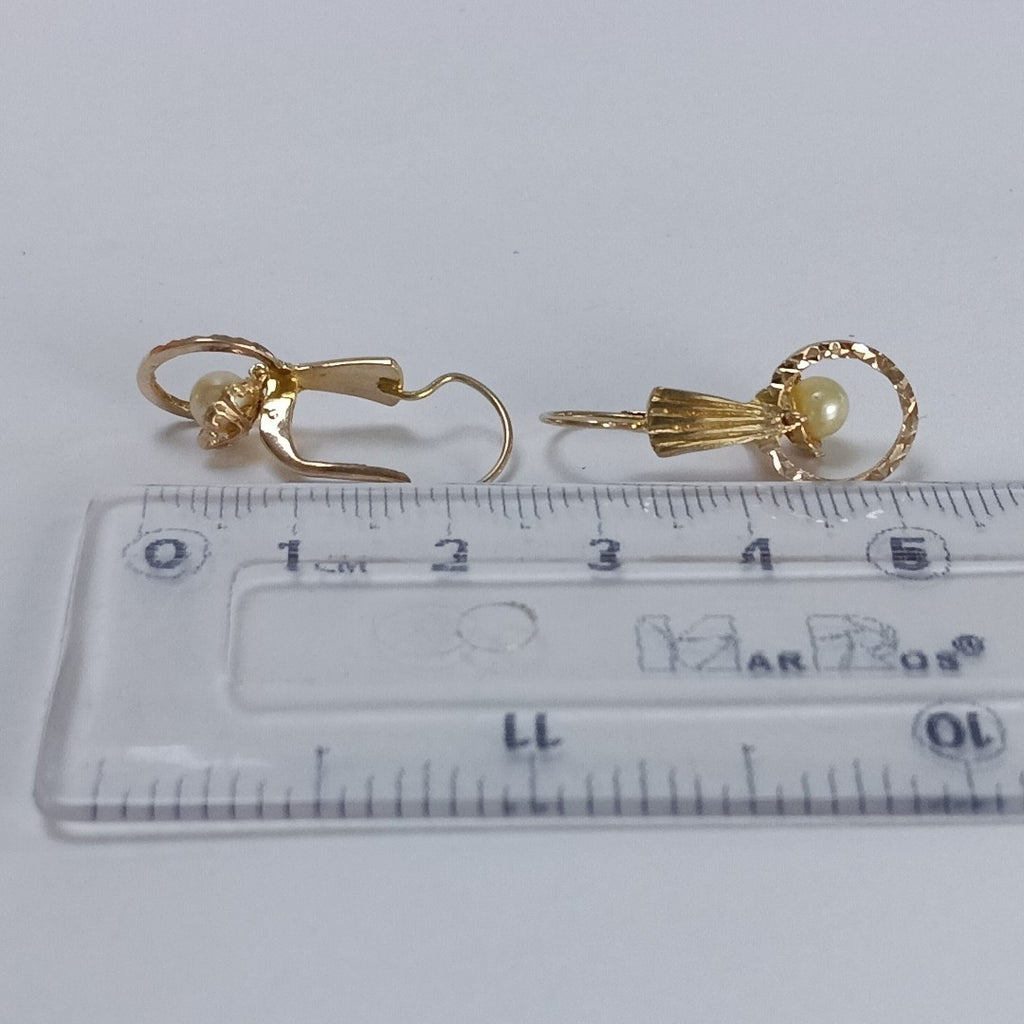 ARETES PAR ORO 10 K 2.2 GRMS (SEMINUEVO)