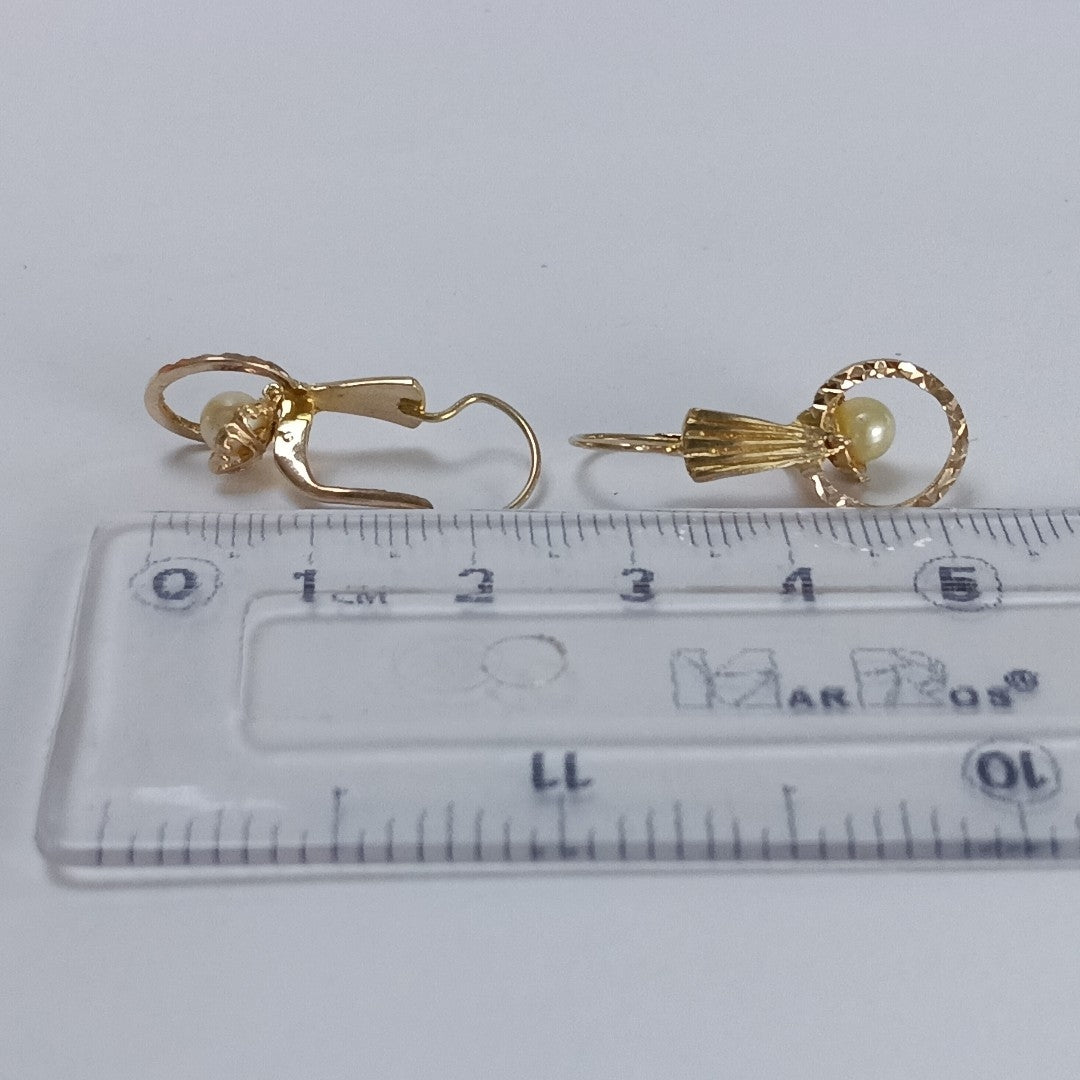 ARETES PAR ORO 10 K 2.2 GRMS (SEMINUEVO)