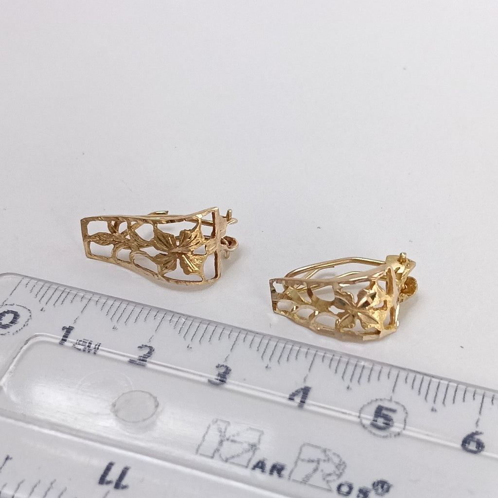 ARETES PAR ORO 10 K 2.1 GRMS (SEMINUEVO)