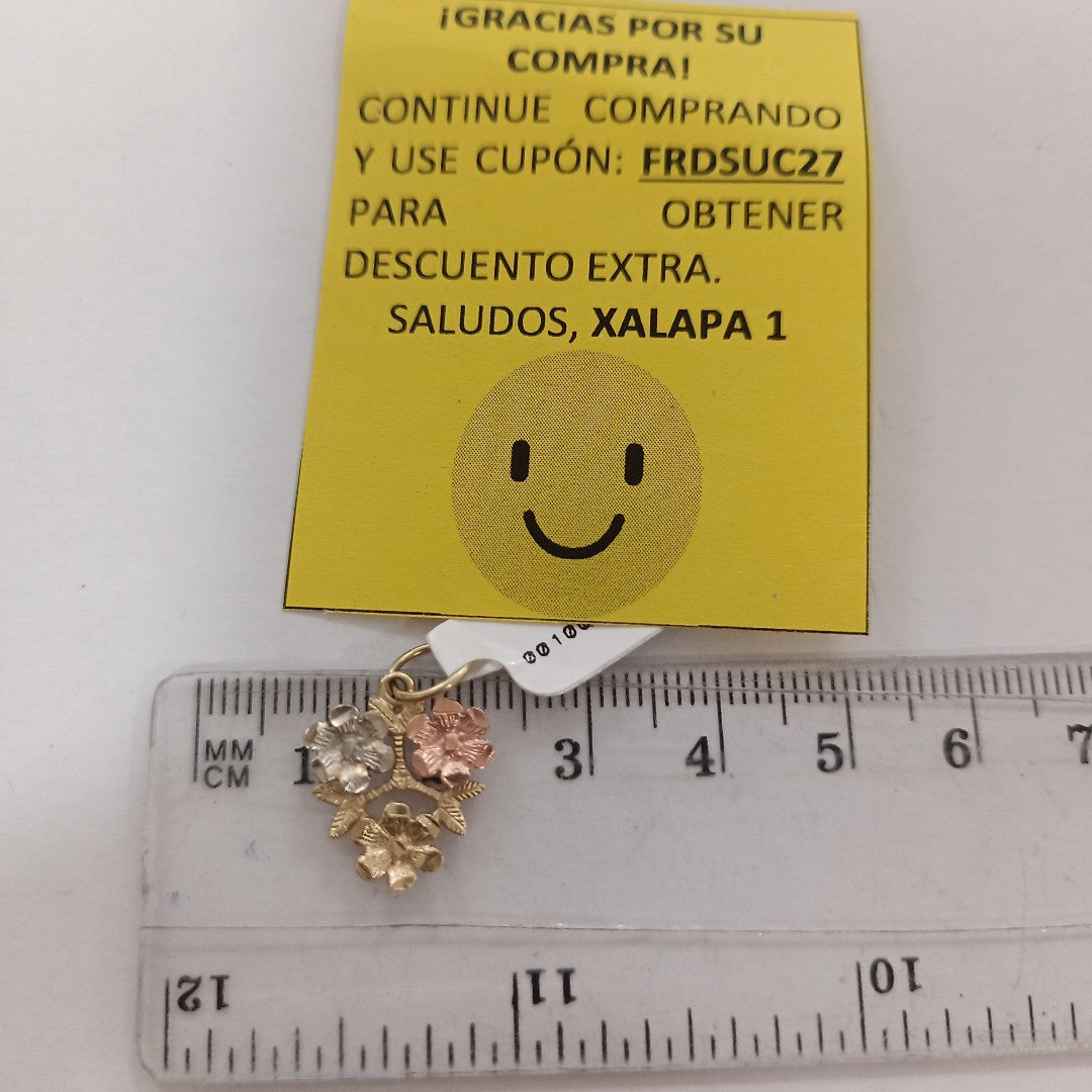 DIJE ORO, ORO COMBINADO 14 K 1.4 GRMS (SEMINUEVO)