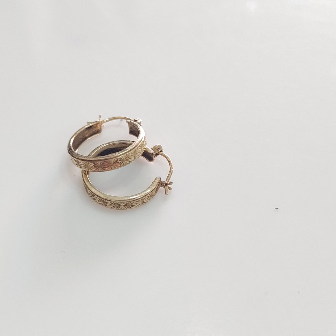 ARRACADAS PAR ORO 10 K 2,00 GRMS (SEMINUEVO)