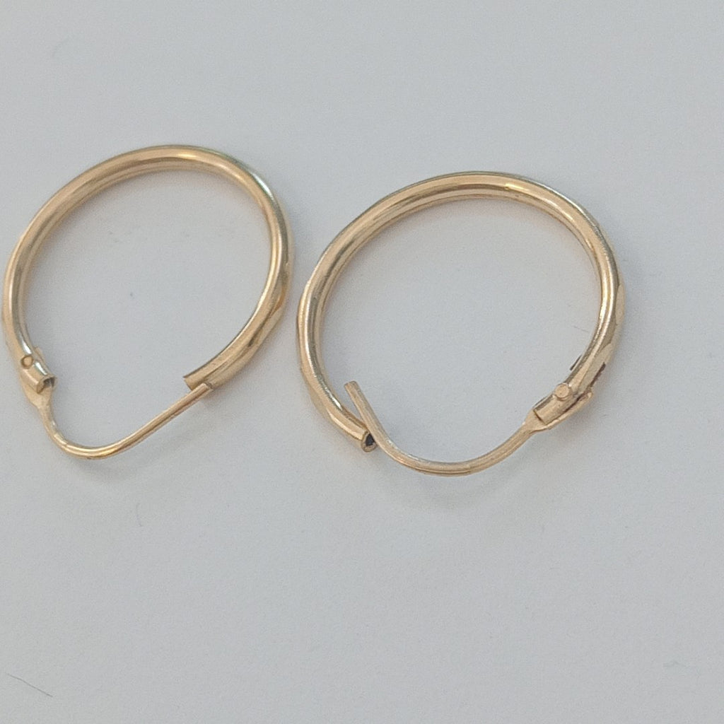 ARRACADAS PAR ORO 10 K 1 GRMS (SEMINUEVO)