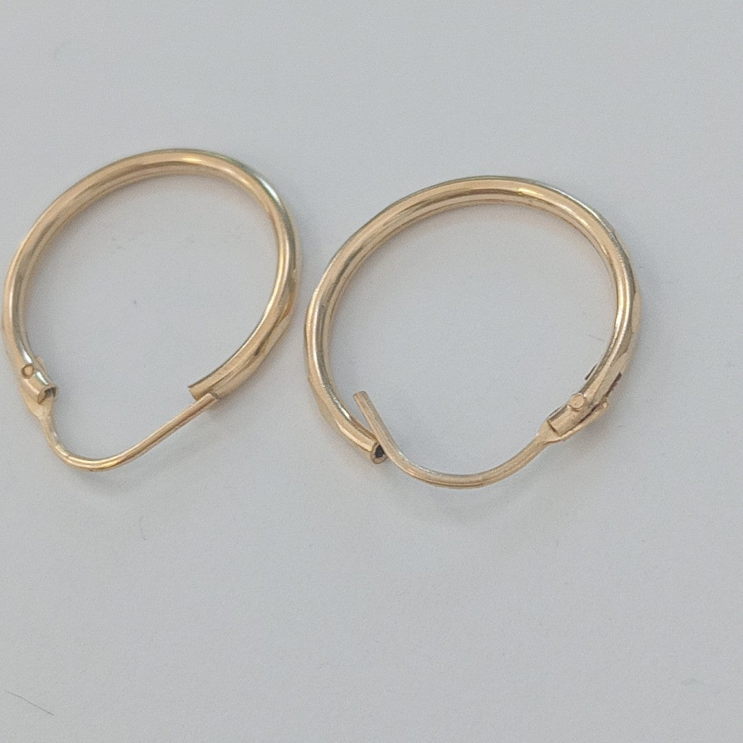 ARRACADAS PAR ORO 10 K 1 GRMS (SEMINUEVO)
