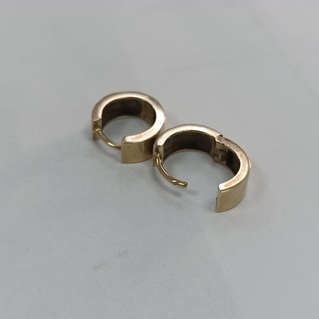 ARETES PAR ORO 10 K 2.9 GRMS (SEMINUEVO)