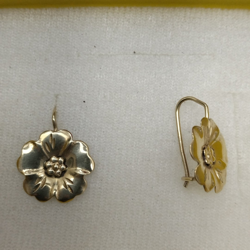 ARETES PAR ORO 10 K 1.8 GRMS (SEMINUEVO)