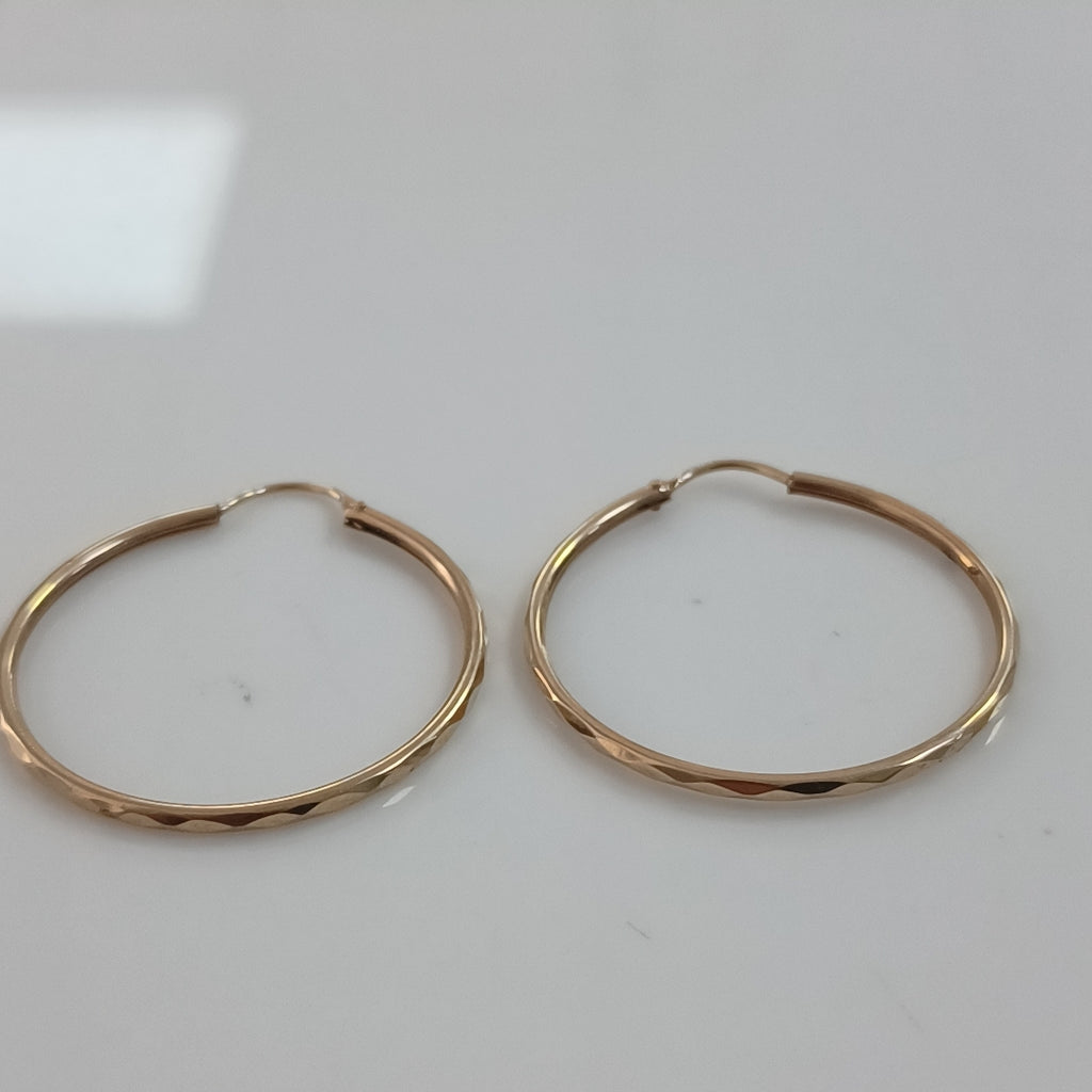 ARRACADAS PAR ORO 10 K 2 GRMS (SEMINUEVO)