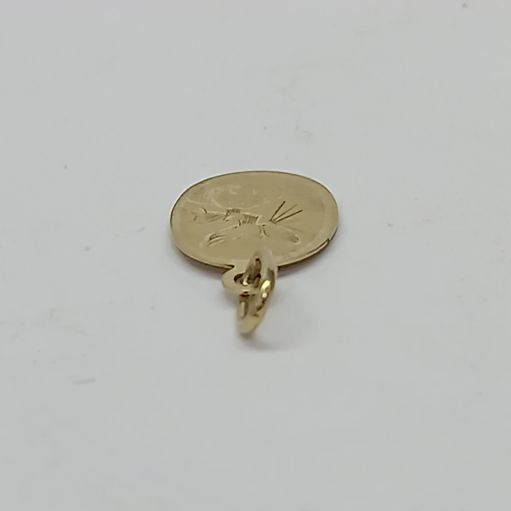 DIJE ORO 10 K 0,50 GRMS (SEMINUEVO)