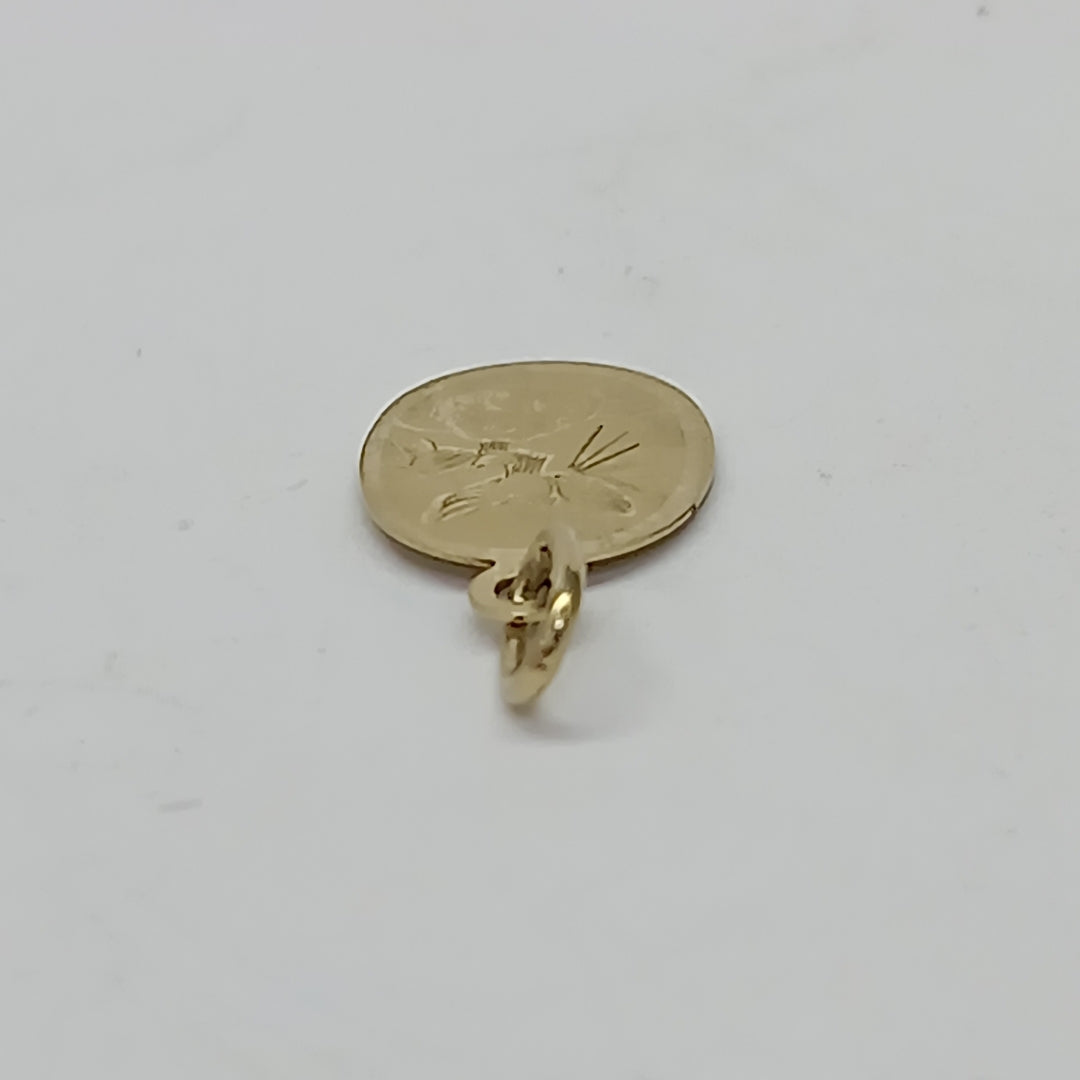 DIJE ORO 10 K 0,50 GRMS (SEMINUEVO)