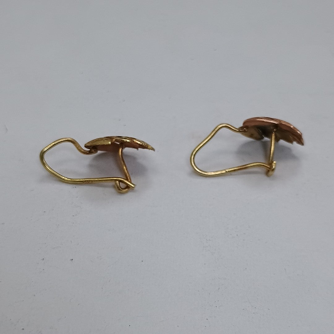 ARETES PAR ORO 10 K 0.9 GRMS (SEMINUEVO)