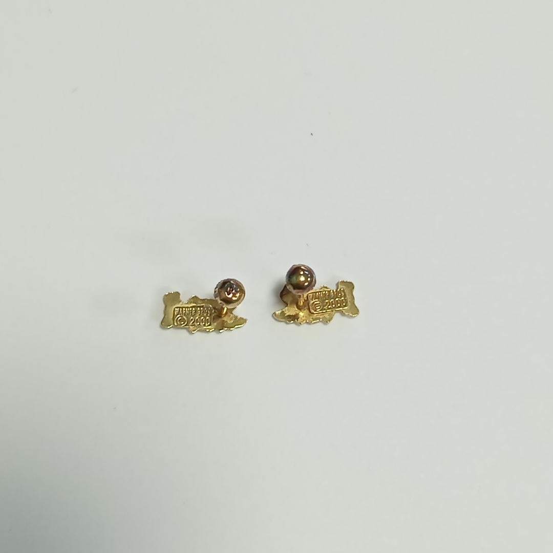 BROQUELES PAR ORO 10 K 0,60 GRMS (SEMINUEVO)