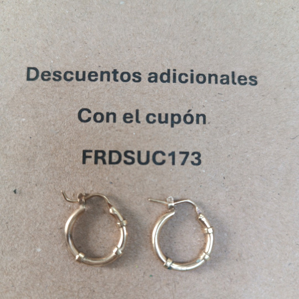 ARRACADAS PAR ORO 10 K 1.8 GRMS (SEMINUEVO)