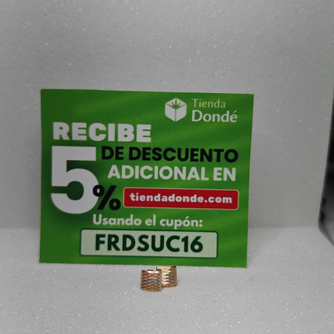 BROQUELES PAR ORO 10 K 1,60 GRMS (SEMINUEVO)