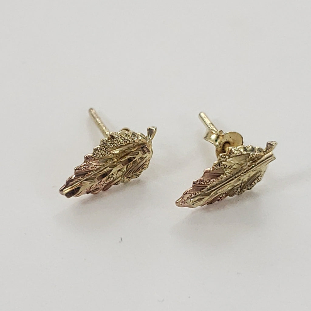 ARETES PAR ORO 10 K 0.9 GRMS (SEMINUEVO)