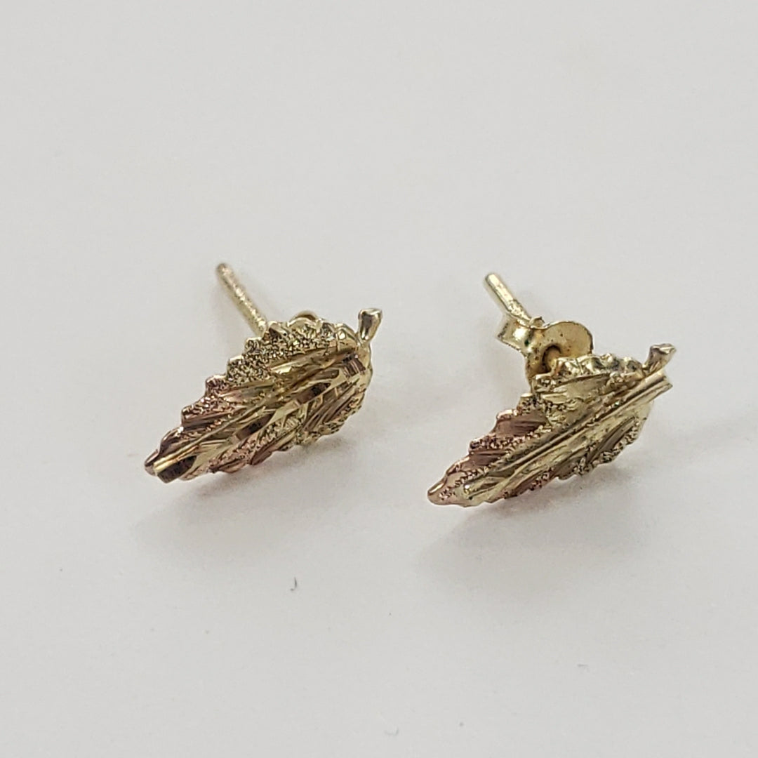 ARETES PAR ORO 10 K 0.9 GRMS (SEMINUEVO)
