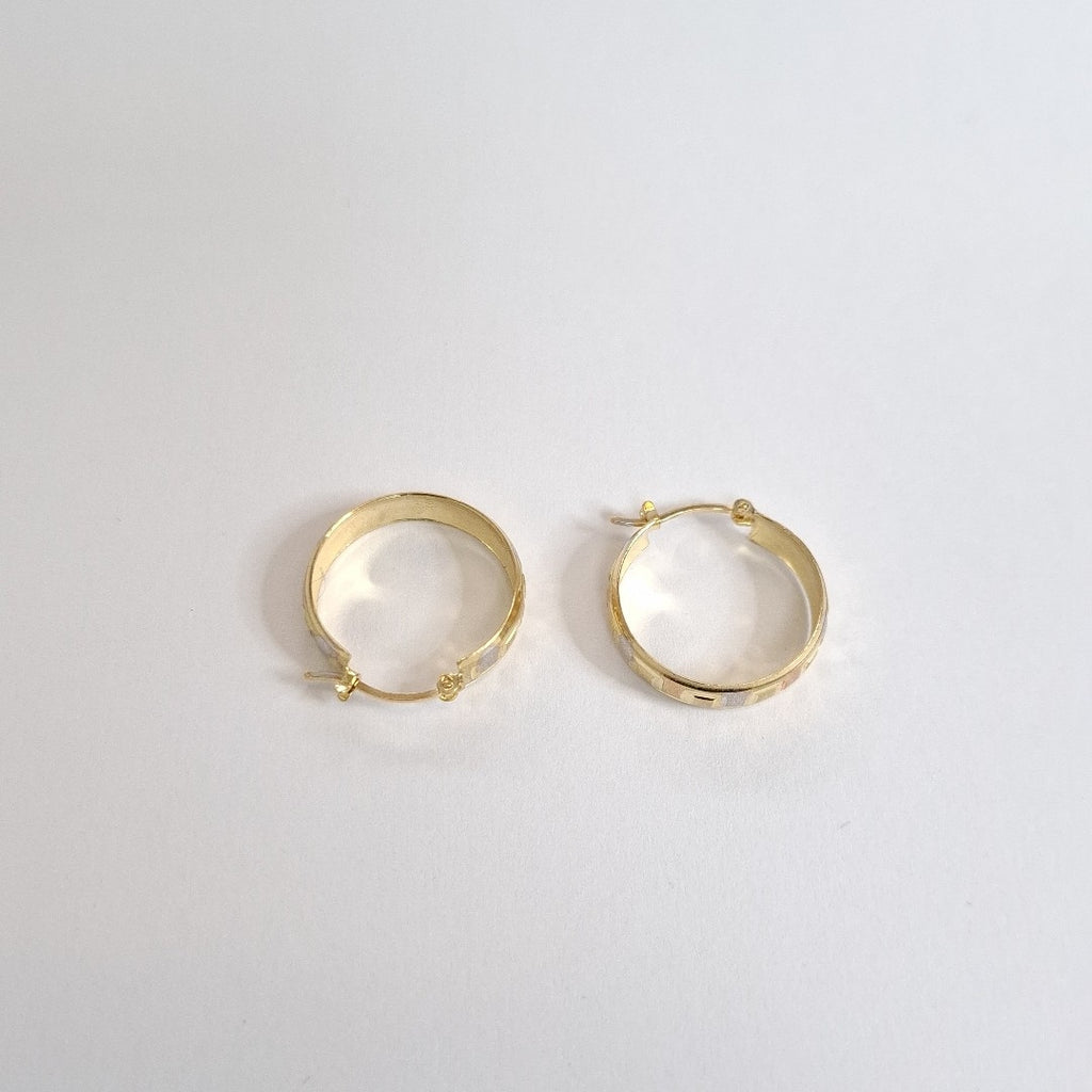 ARRACADAS PAR ORO 10 K 2,70 GRMS (SEMINUEVO)