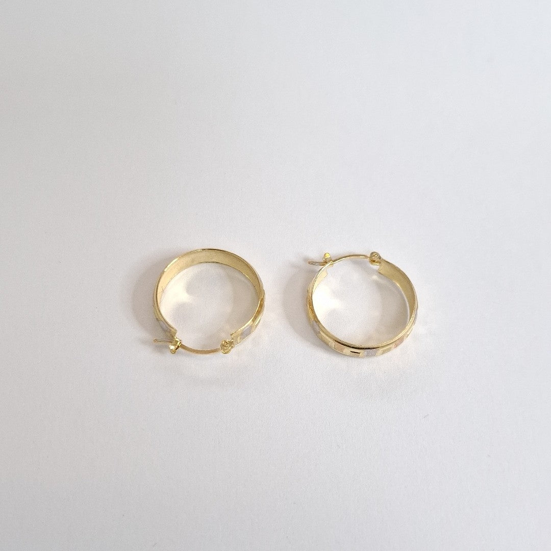 ARRACADAS PAR ORO 10 K 2,70 GRMS (SEMINUEVO)