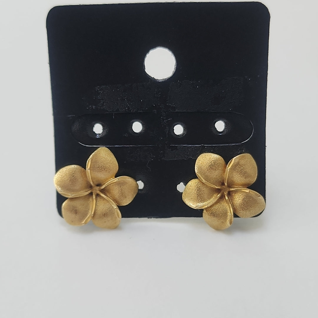 BROQUELES PAR ORO 14 K 3.1 GRMS (SEMINUEVO)