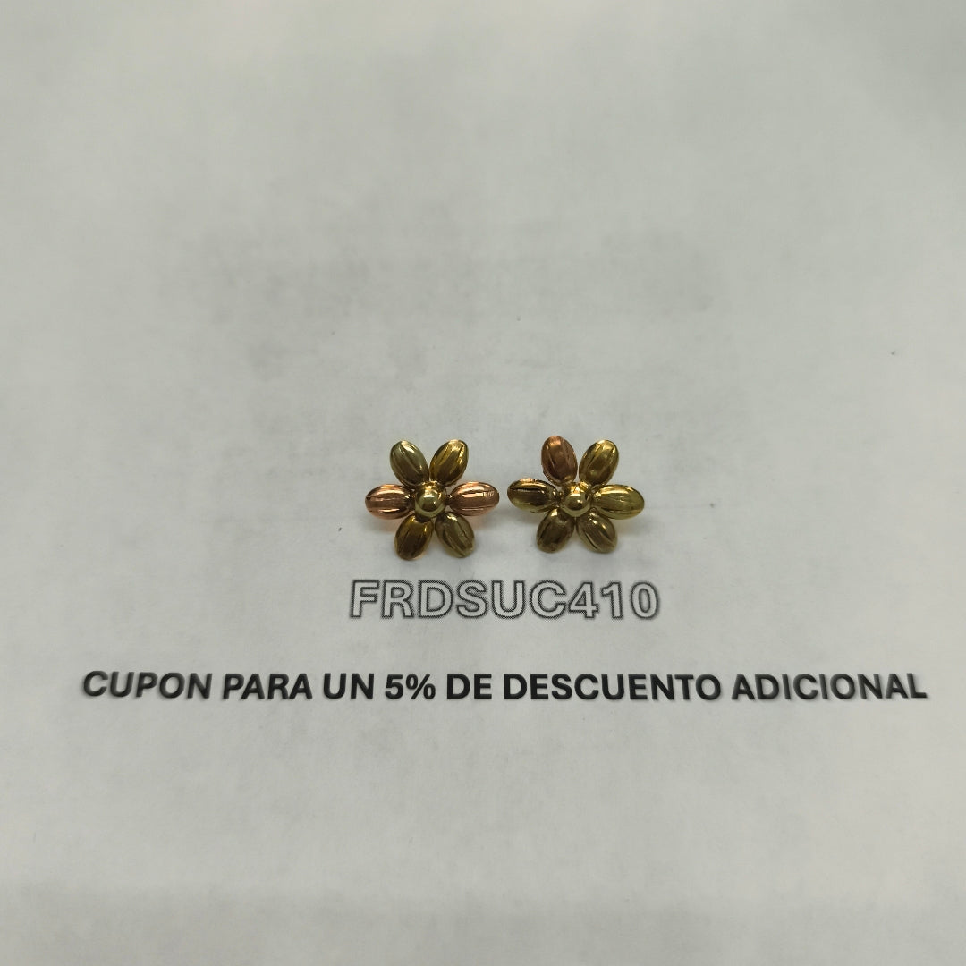 BROQUELES PAR ORO 10 K 2,00 GRMS (SEMINUEVO)