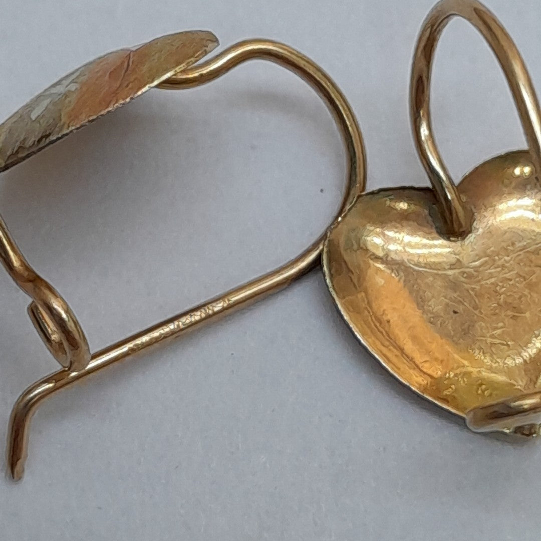 ARETES PAR ORO 10 K 0,90 GRMS (SEMINUEVO)